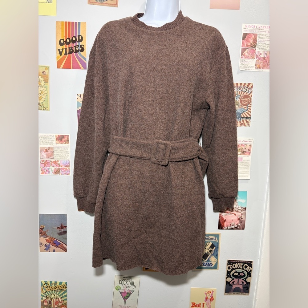 Zara Brown Long Sleeve Belted Dress